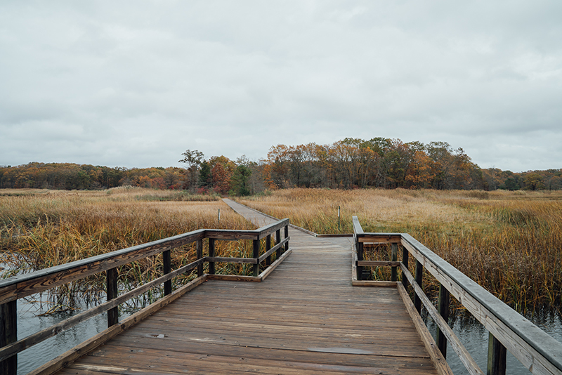 Cheesequake State Park Hiking Njdep | Cheesequake State Park | New Jersey State Park Service