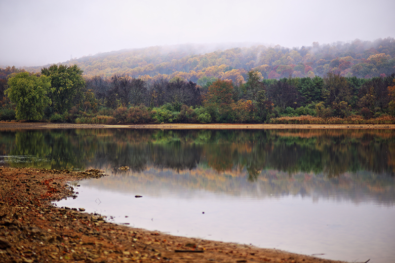 are dogs allowed at spruce valley reservoir nj