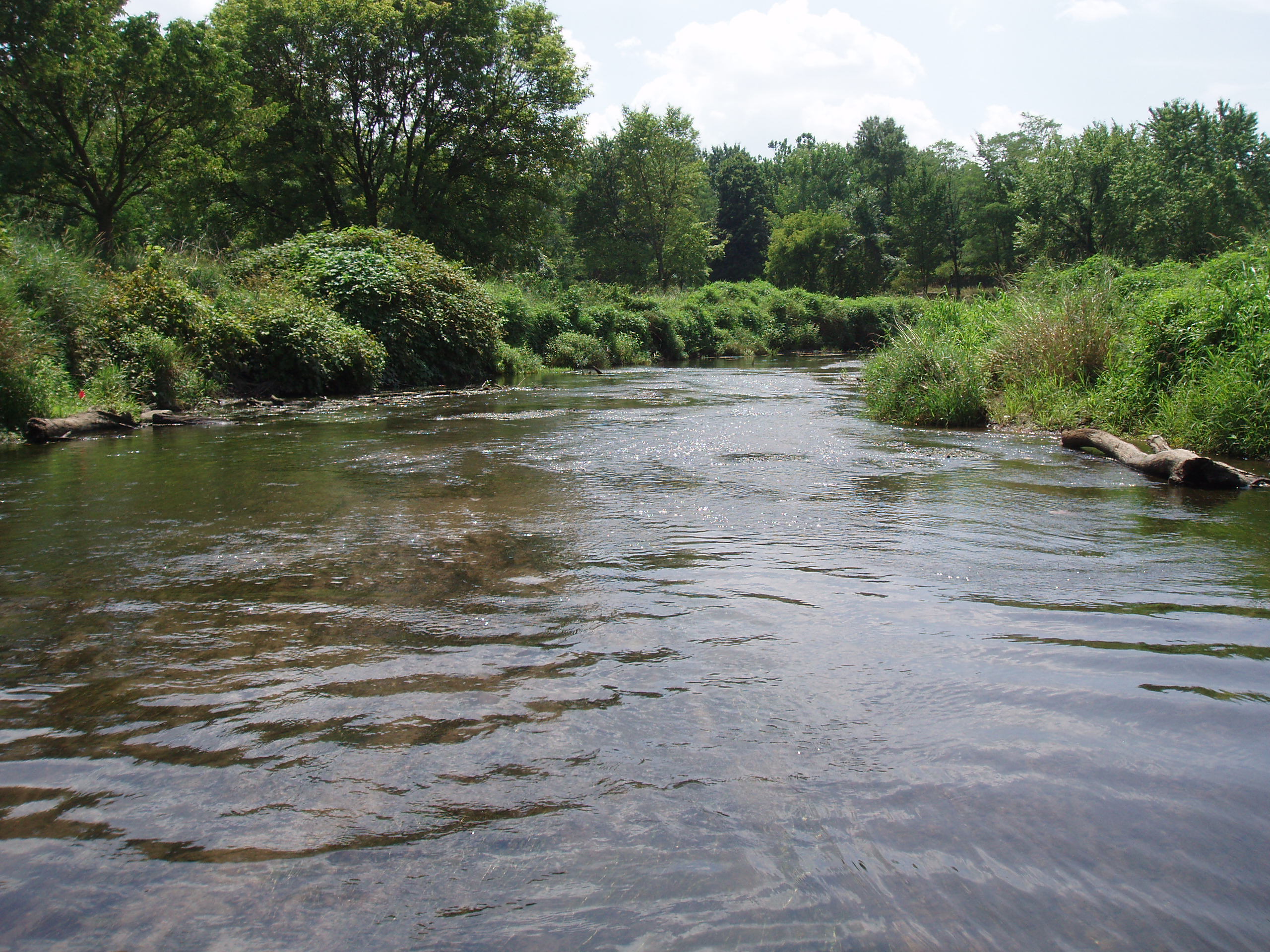 NJDEPDivision of Water Monitoring and Standards