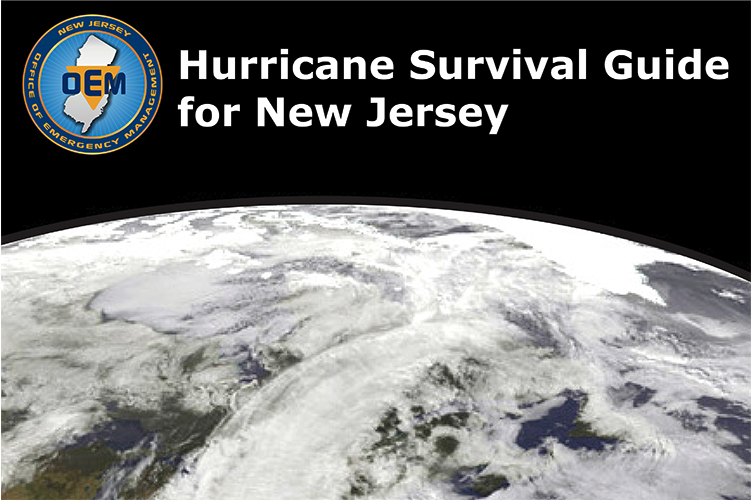 Hurricane Survival cover image