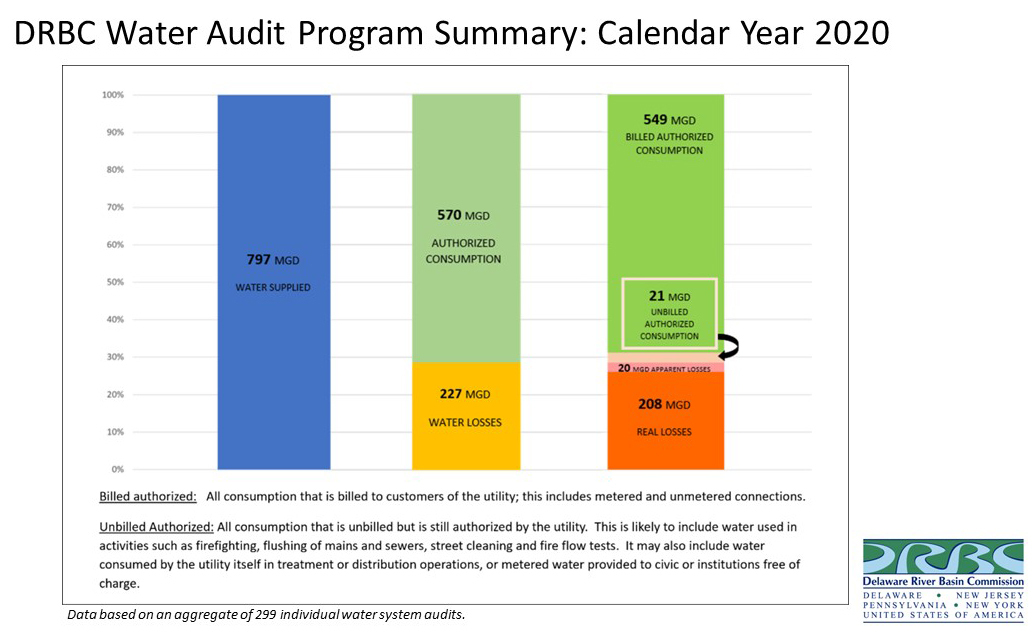DRBC Water Audit Program Summary: Calendar Year 2020