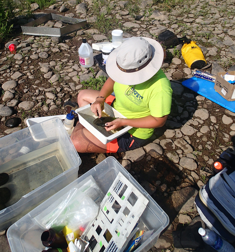 DRBC staff collect periphyton data. Photo by DRBC.