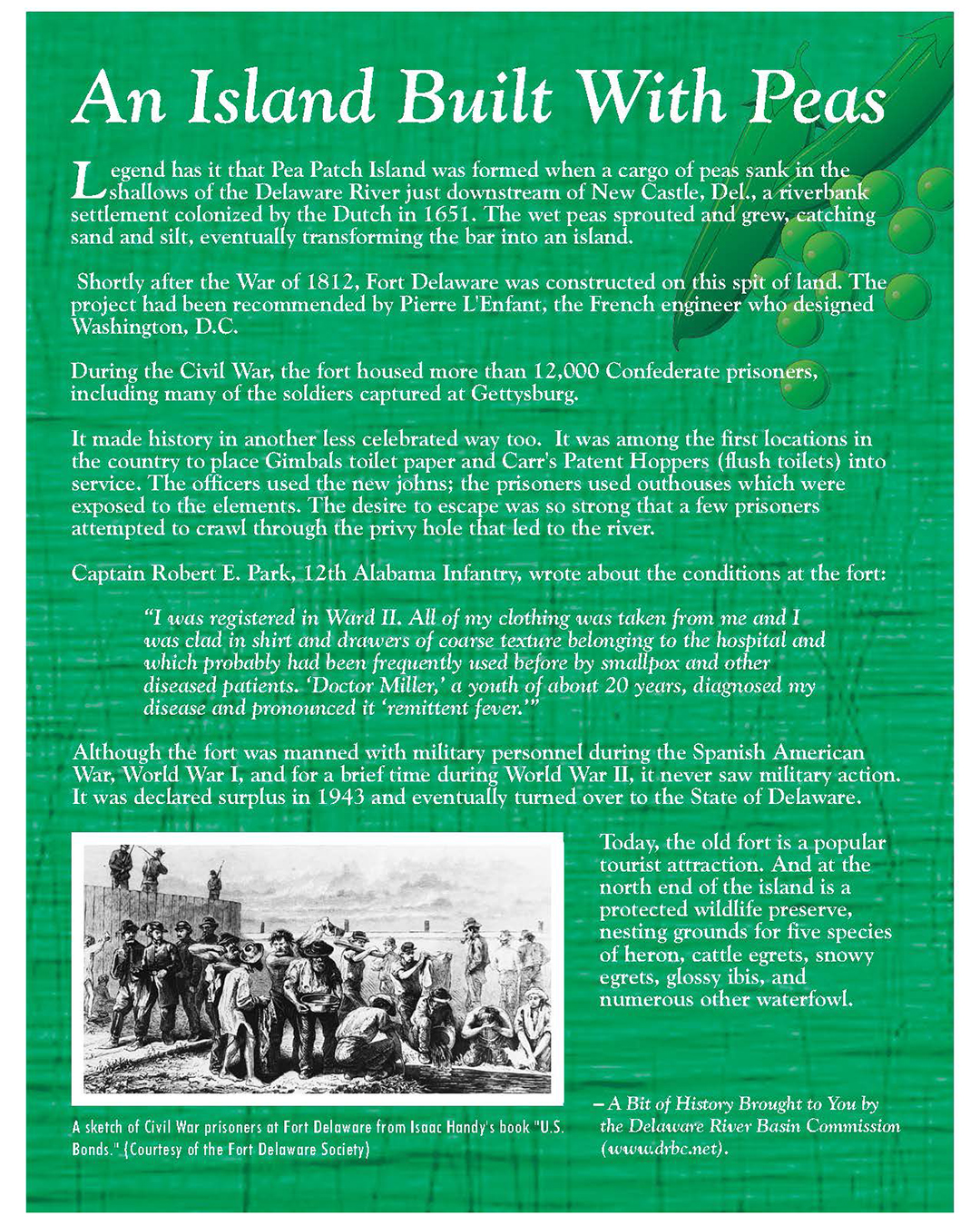 Image of DRBC Pea Patch Island Flyer