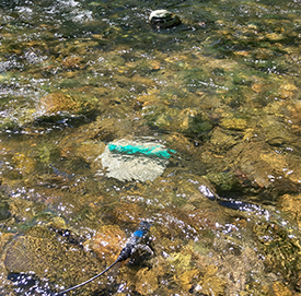 The continuous data logger is secured in the creek. Staff collect real-time water quality readings via a probe in the water. Photo by DRBC. 