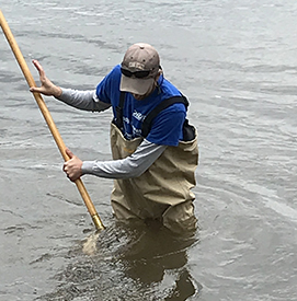 DRBC Aquatic Biologist Jake Bransky collects a sample of macroinvertebrates from the Delaware River using a large net. Photo by DRBC.