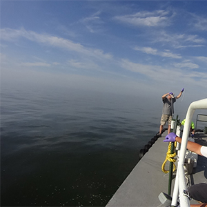 DNREC staff performing Delaware Estuary water quality monitoring.