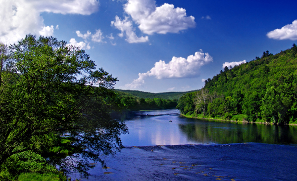 View of the Delaware River looking upstream from the Roebling Bridge. Photo courtesy of Nicholas A. Tonelli.