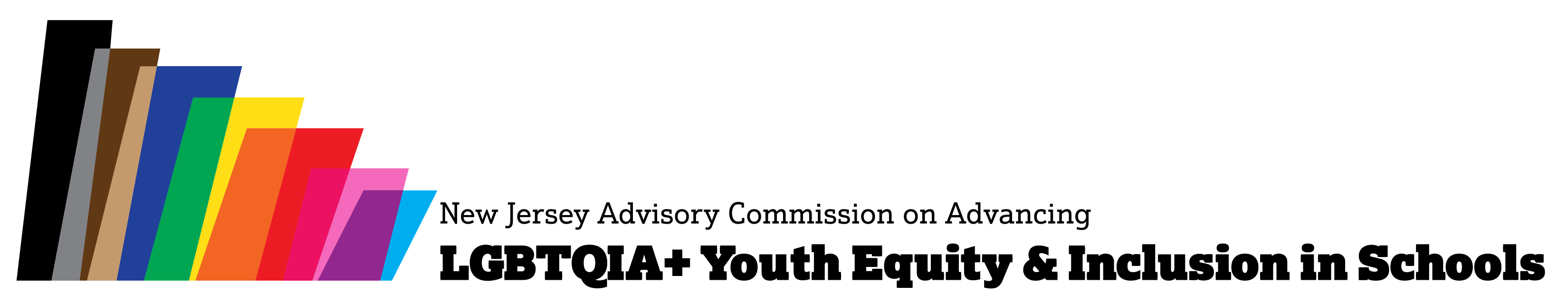 Youth Equity Commission Logo