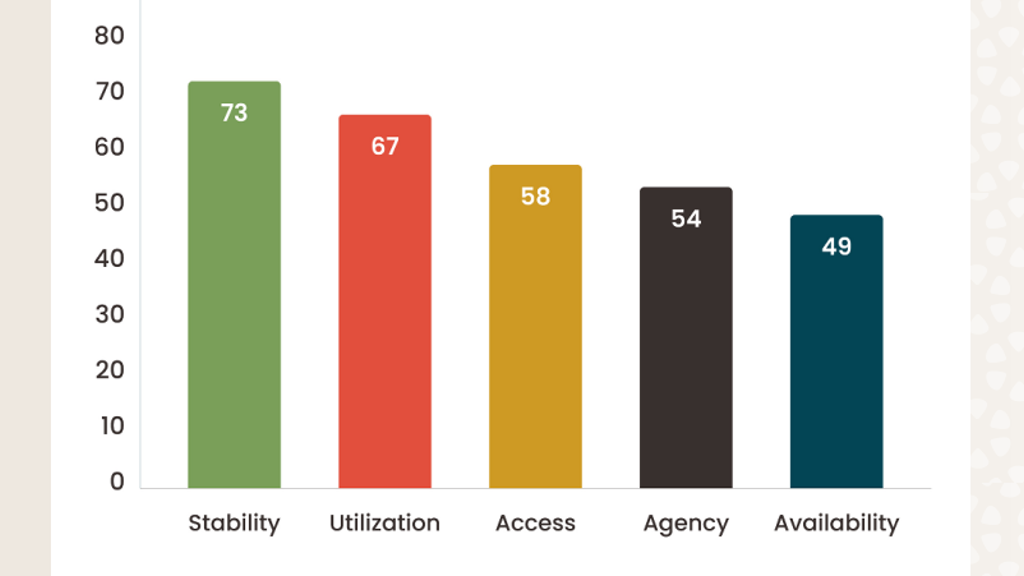 a chart with stability, utilization, access, agency and availability categories
