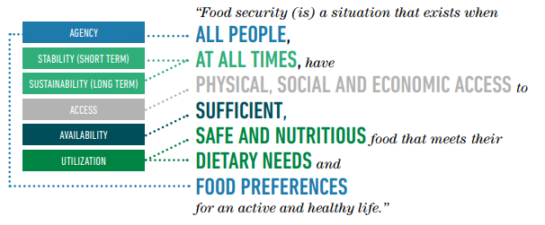 Food Security infographic