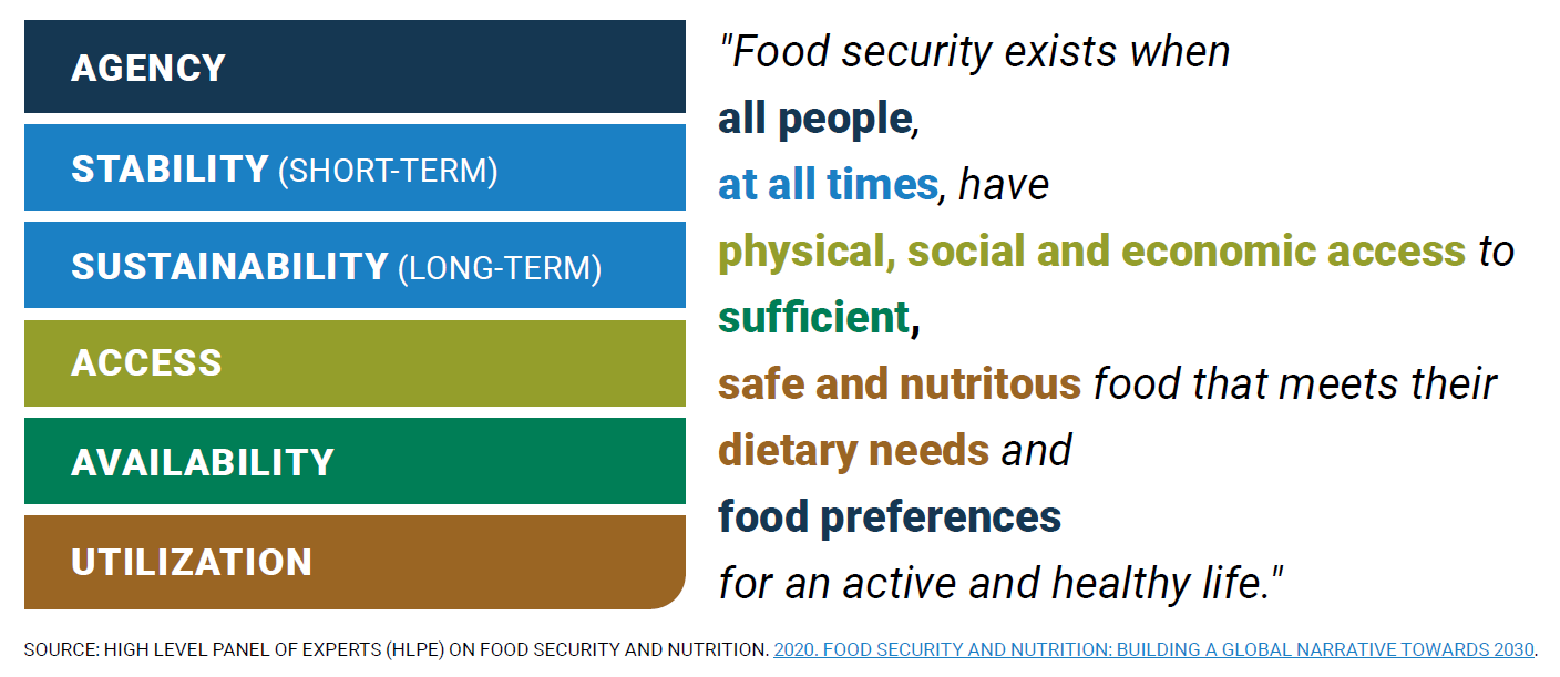 Six Dimensions and the Definition of Food Security