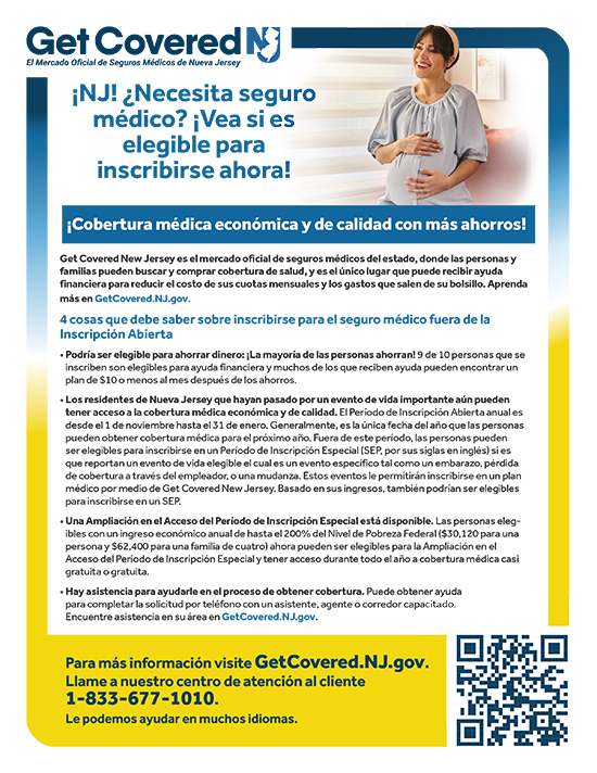 Image of Spanish Flyer 3