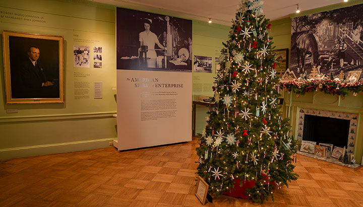 photo - A Christmas tree in a light green room with a fireplace, biographical displays and decorated mantelpiece. The Garden Club of Princeton tree features snowflake ornaments and the mantelpiece by Princeton Public Library features books by Jan Brett.
