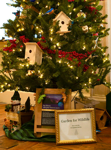 photo - Close view of the New Jersey Audubon Societys “Garden for Wildlife” tree. Birdhouses, berries and bird ornaments are all around.