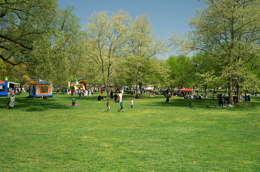 View of a park