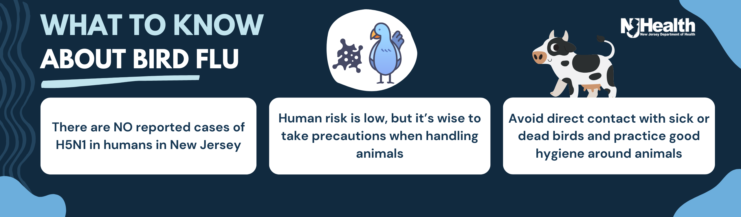 Wha to know about bird flu. 1. There are no reported cases of H5N1 in New Jersey. 2. Human risk is low, but its wise to take precautions when handling animals. 3. Avoid direct contact with sick or dead birds and practice good hygiene around aniamals.