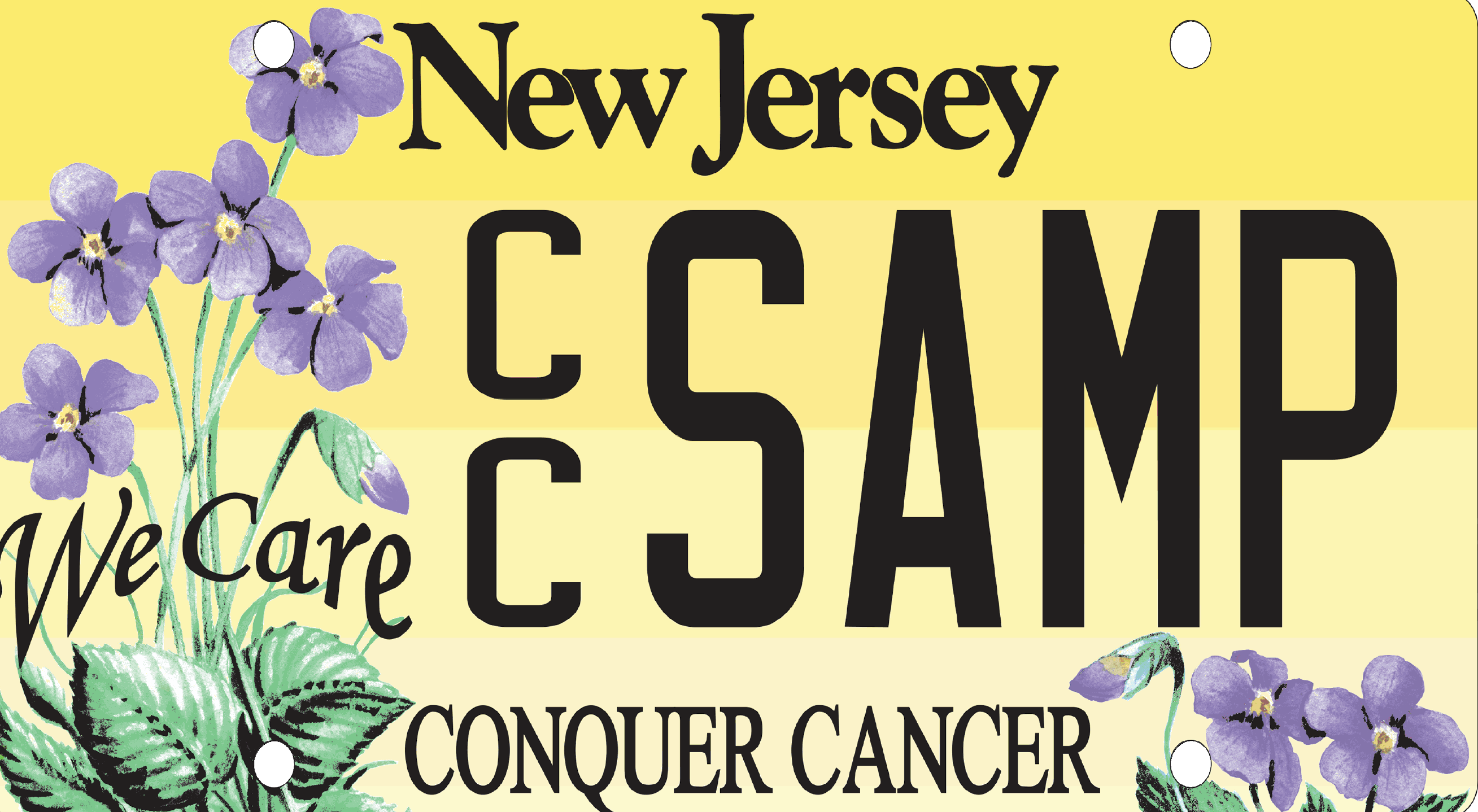 An example of a New Jersey Conquer Cancer License Plate