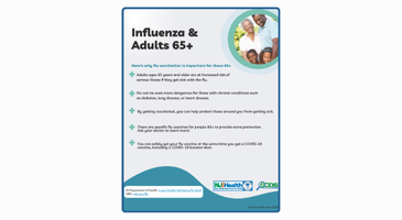 Flu Older Adult Brochure