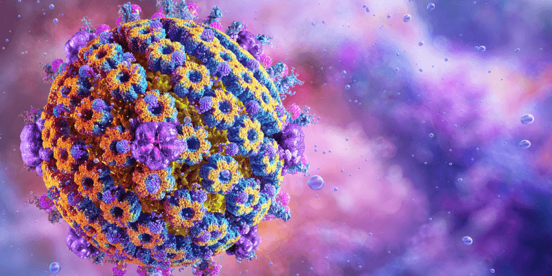 Image of herpes virus