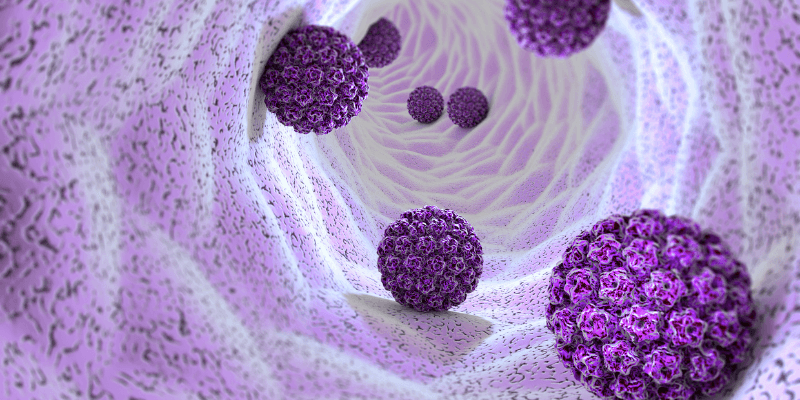 Image of HPV viruses