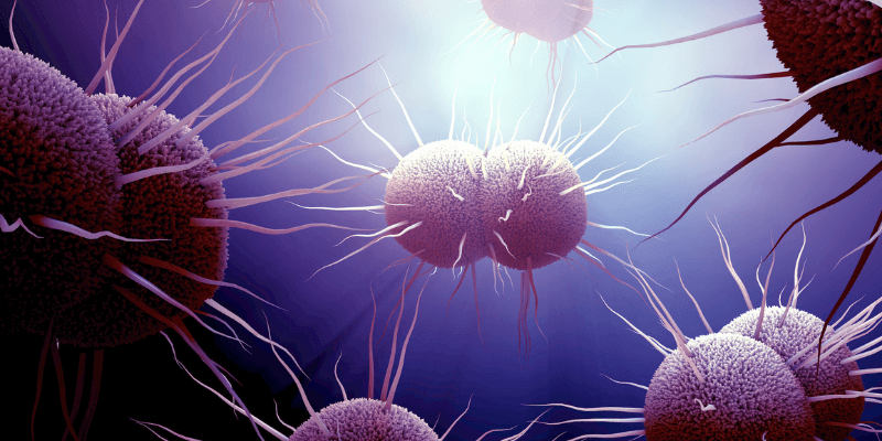 Image of gonorrhea bacteria
