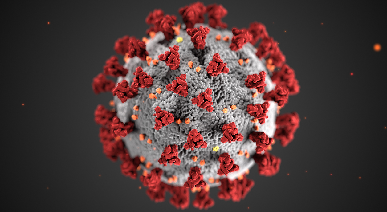 Novel Coronavirus image