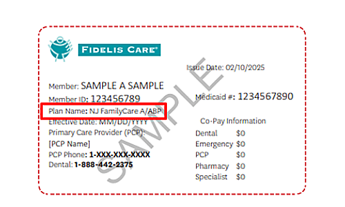 Member information is centered toward the left half of the card, and copay information is grouped on the right side. The red box appears in the upper-left to middle-left area of the card, directly beneath the member name and ID number.