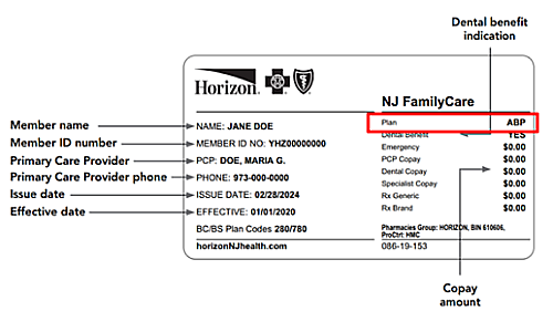 Member details are listed in lines across the left half of the card. The red box is located in the upper-right corner area, aligned with the “Plan” label. Inside that box, the plan is shown as “ABP.” 
