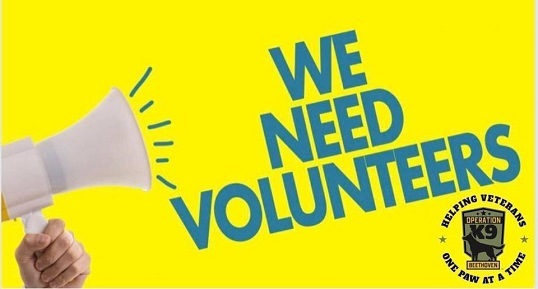 Volunteer
