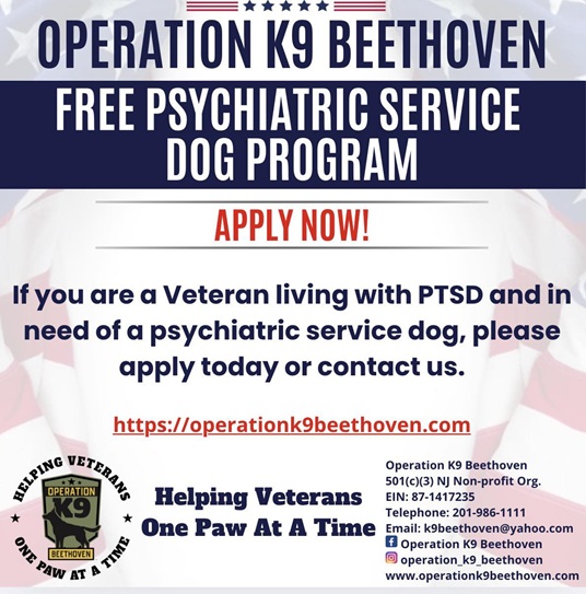 operationk9beethoven
