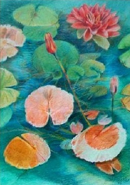 water-lilies