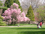 Visitors enjoying the beauty of the Arboretum