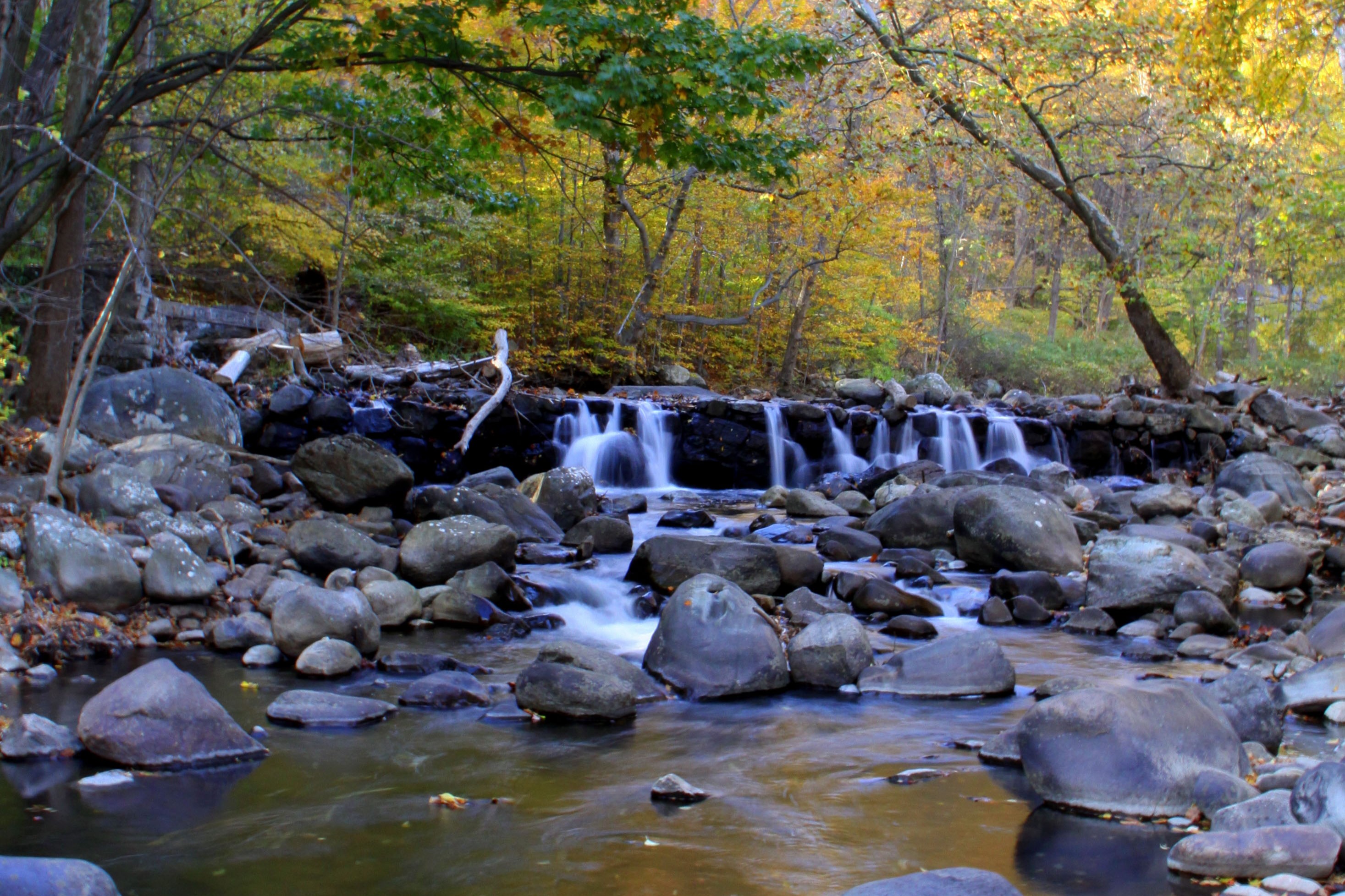 river with late summer trees