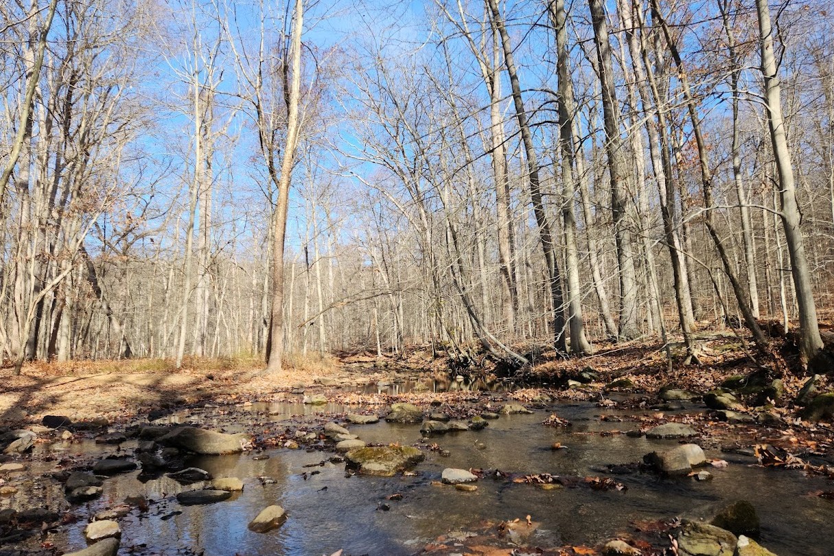 river in winter with bare trees on banks and roks in river