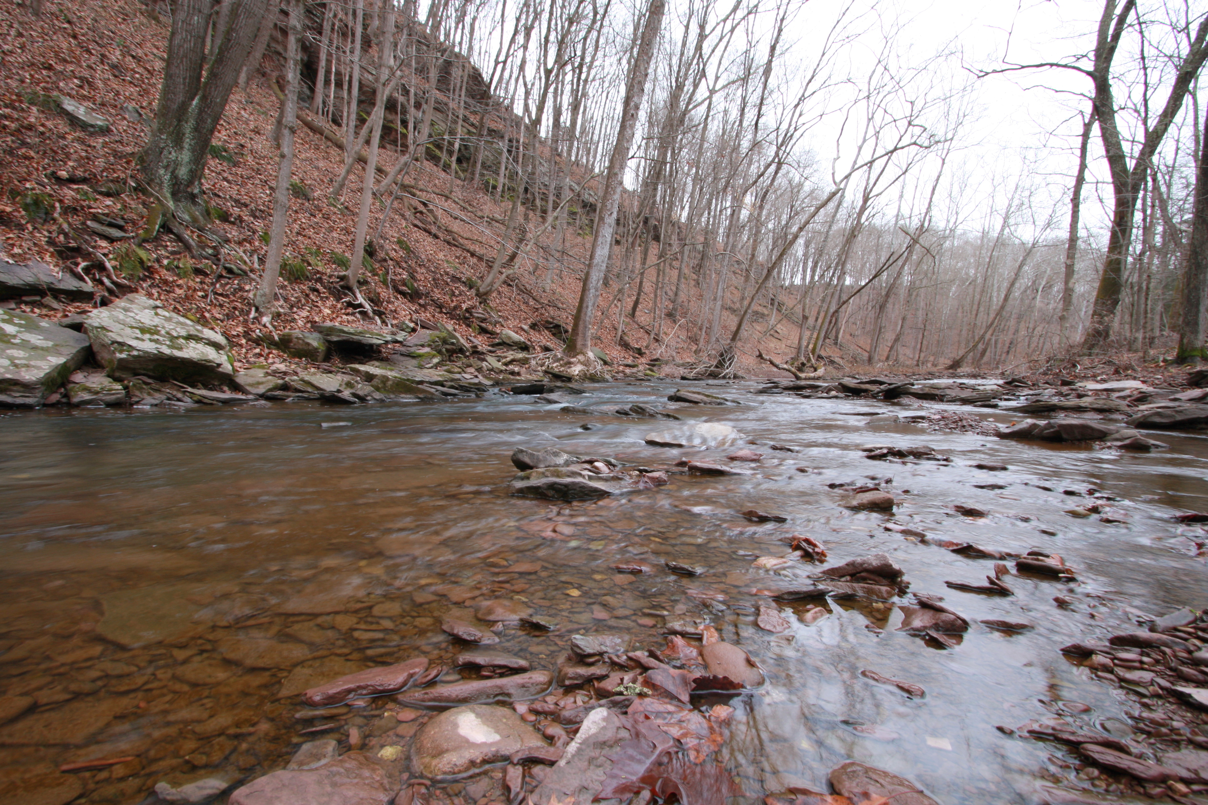 creeek with rocks