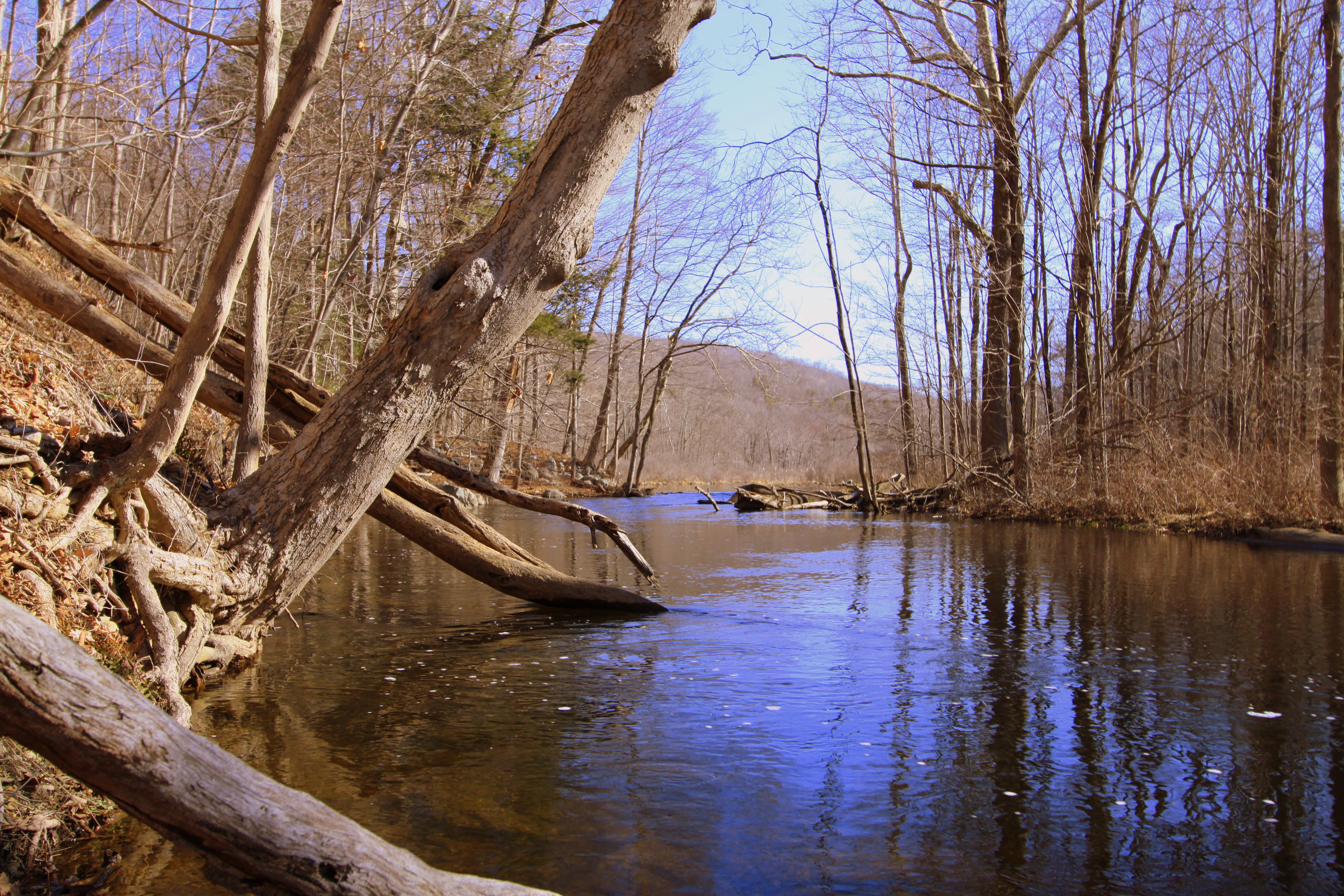 Rockaway River