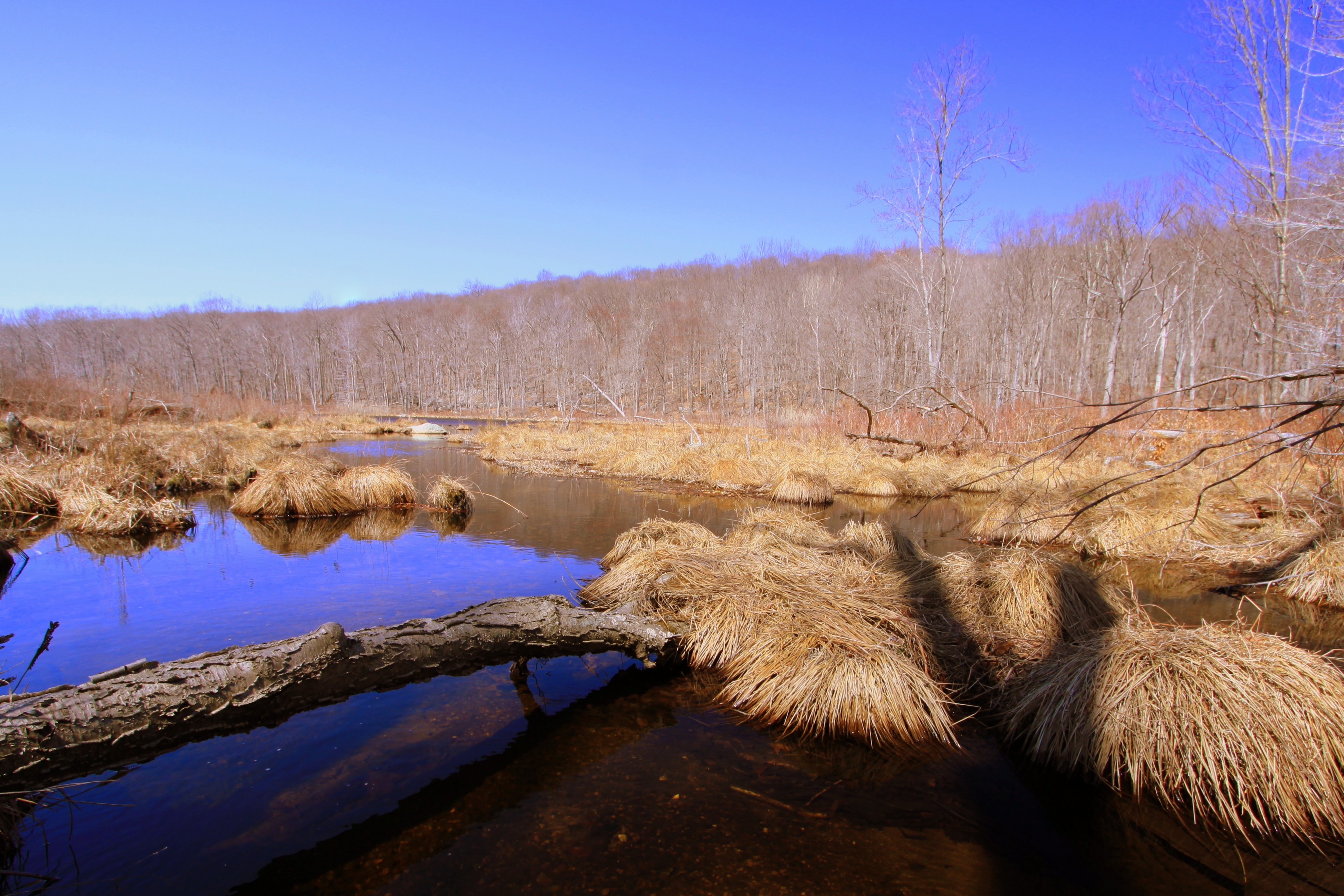 Weldon Brook.