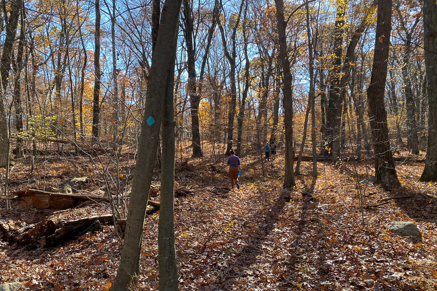 Highlands trail