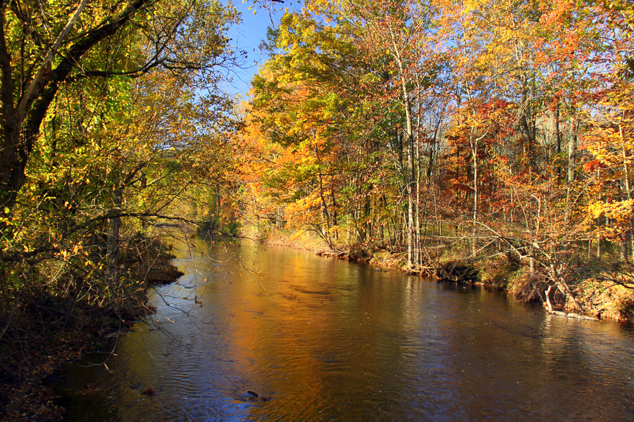 Bedminster Township