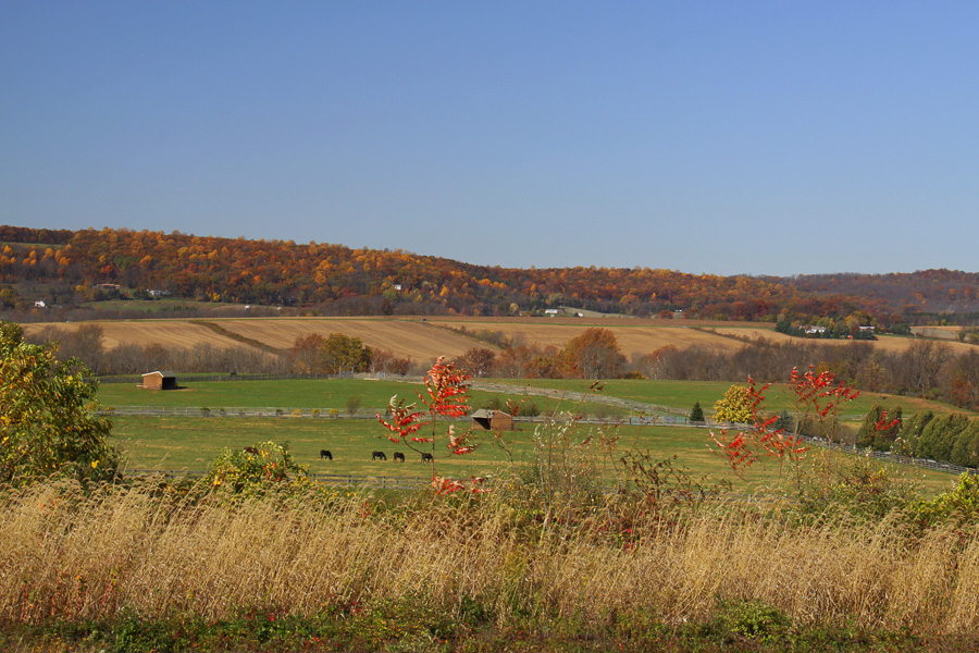 Bethlehem Township
