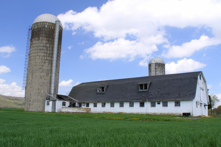 white barn