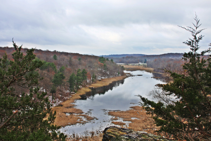 Johnsonburg Swamp Preserve