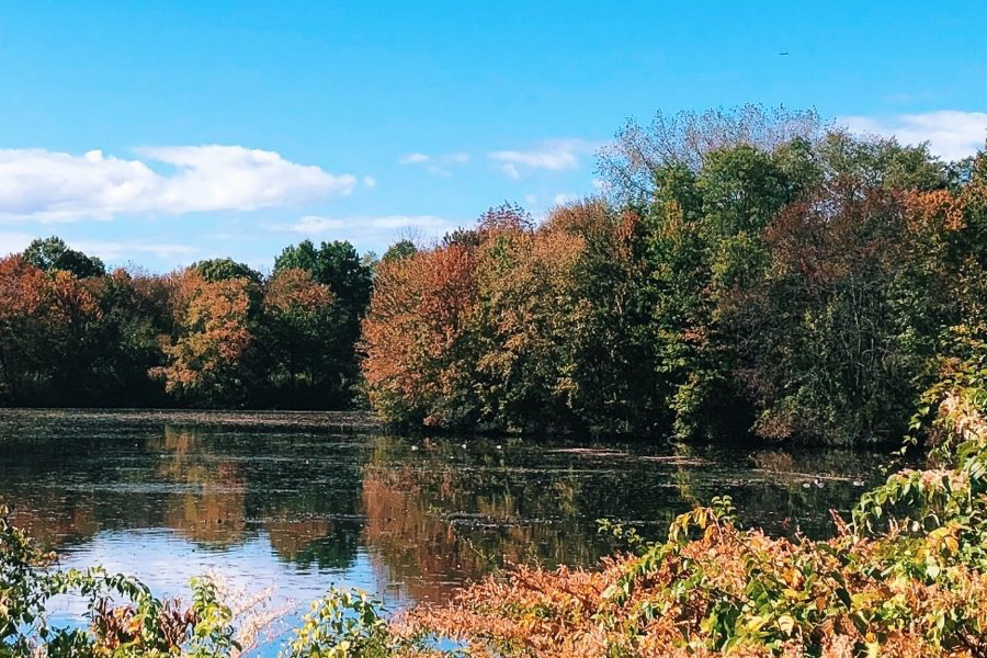 water body
