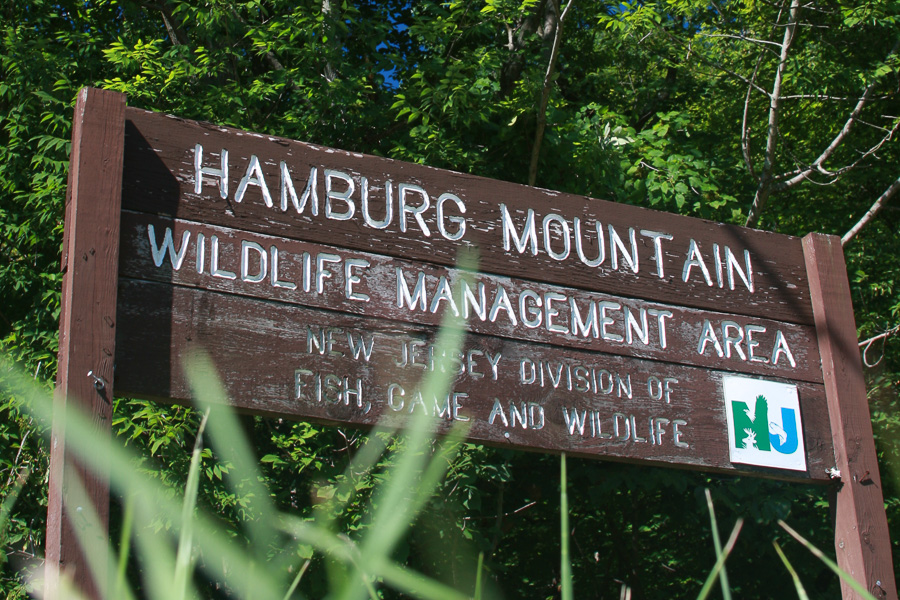 Hamburg Mt sign