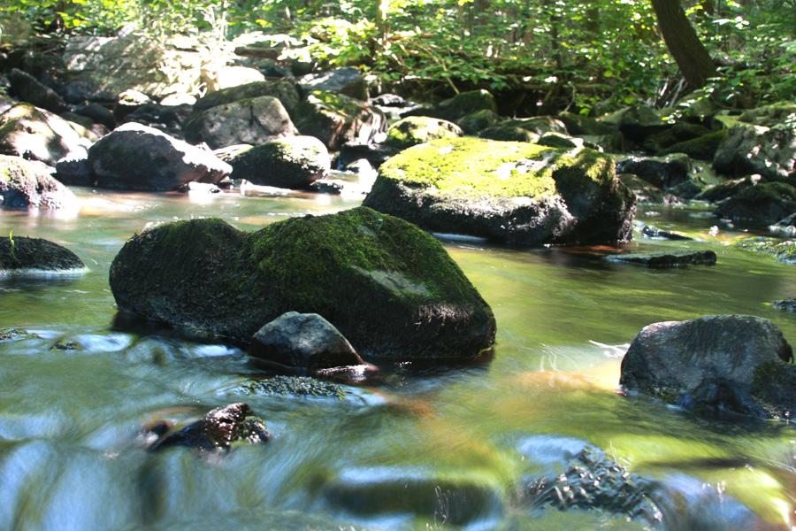 hadyston NJ creek