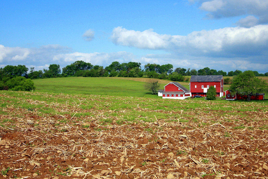 farm