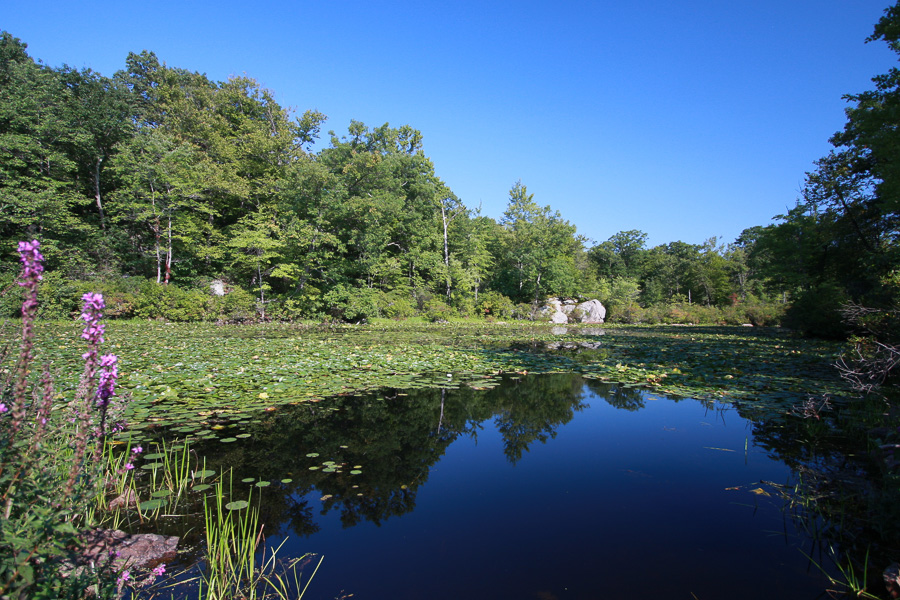 lake hopatcong