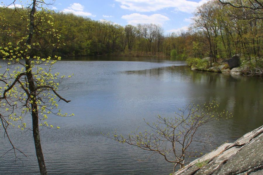 Silas_Condict_Park