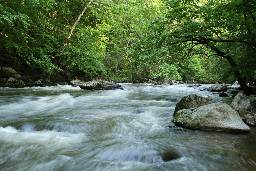 Lebanon Township