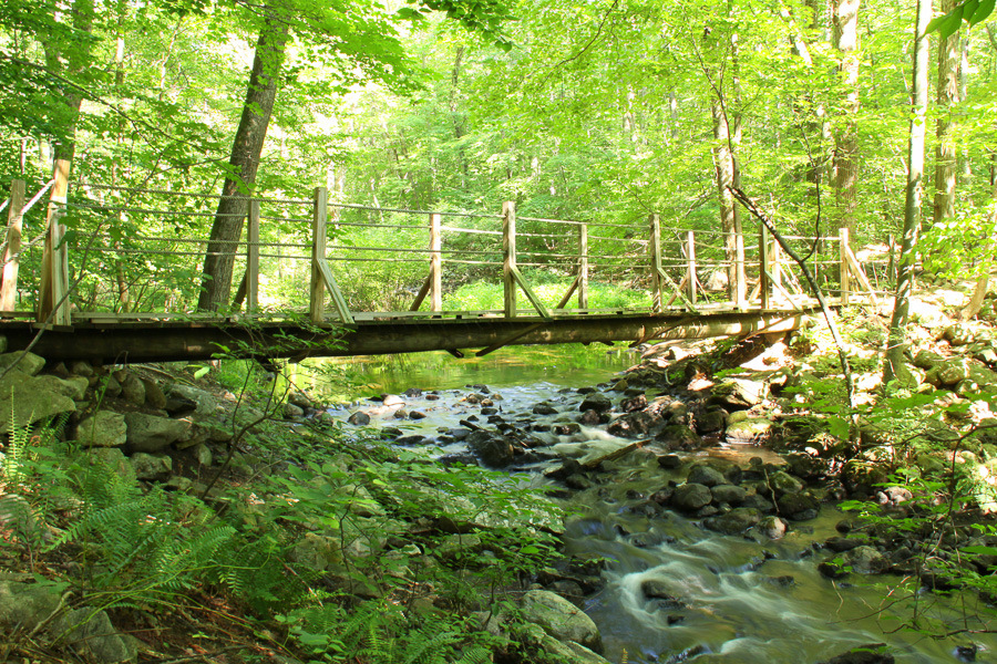 Montville Township